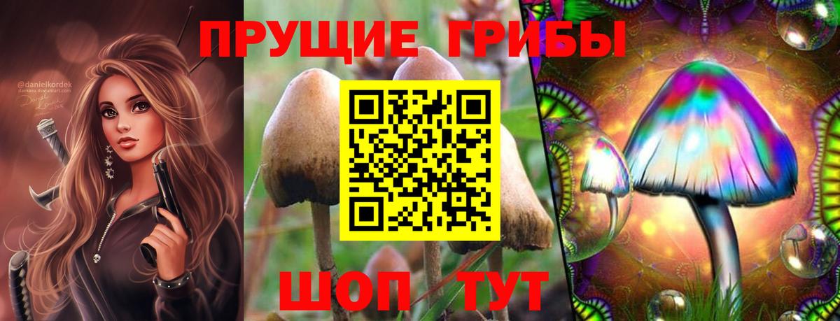 Галлюциногенные грибы ЛСД Братск